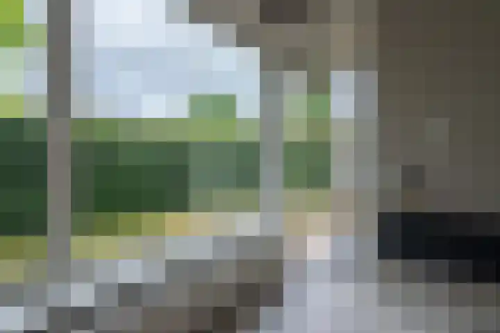Piet Heinlaan 2 Bussum thumbnail 20