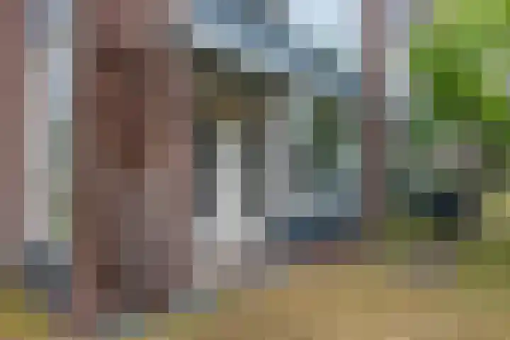 Piet Heinlaan 2 Bussum thumbnail 21