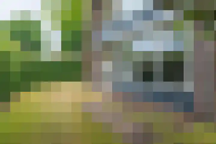 Piet Heinlaan 2 Bussum thumbnail 22