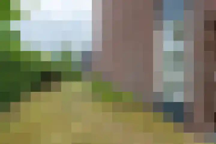 Piet Heinlaan 2 Bussum thumbnail 25
