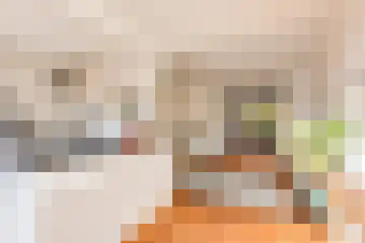 Piet Heinlaan 22 Baarn thumbnail 12