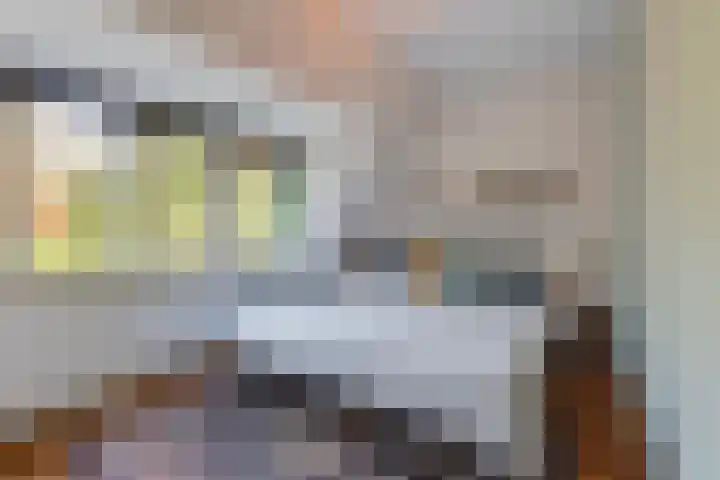 Piet Heinlaan 22 Baarn thumbnail 21
