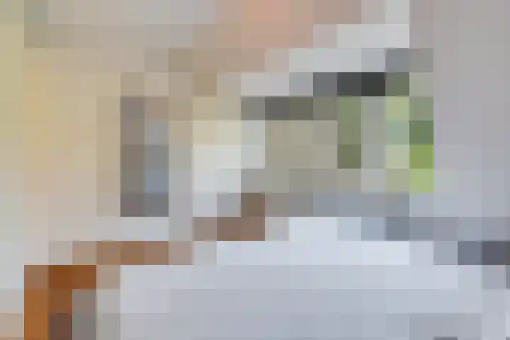 Piet Heinlaan 22 Baarn thumbnail 23