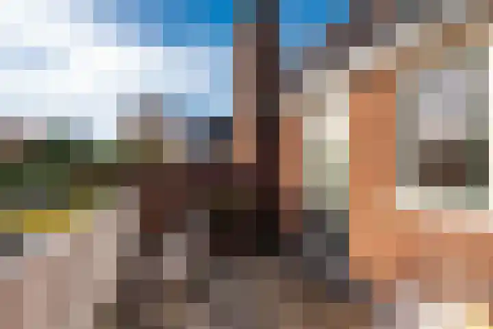 Piet Heinlaan 22 Baarn thumbnail 32