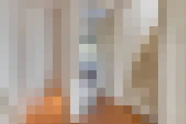 Piet Heinlaan 22 Baarn thumbnail 33