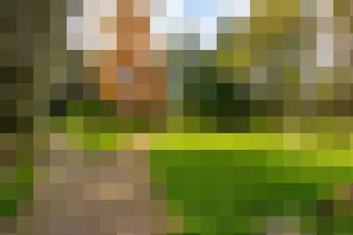 Piet Heinlaan 22 Baarn thumbnail 40