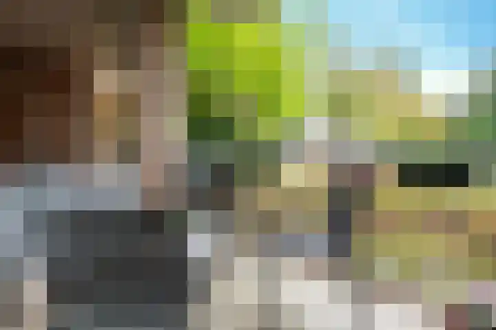 Piet Heinlaan 29 Son en Breugel thumbnail 16