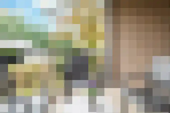 Piet Heinlaan 29 Son en Breugel thumbnail 17