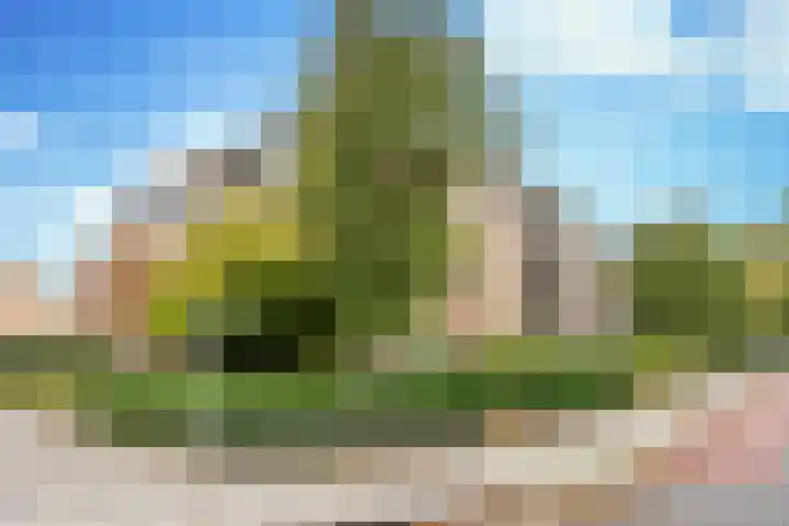 Piet Heinlaan 29 Son en Breugel thumbnail 34