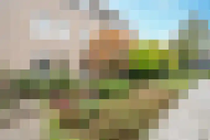 Piet Heinlaan 29 Son en Breugel thumbnail 36