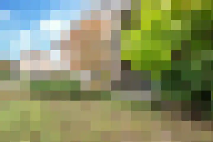 Piet Heinlaan 29 Son en Breugel thumbnail 37