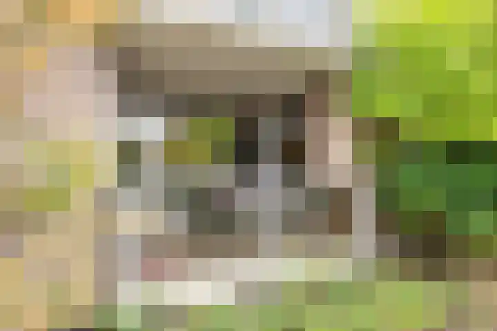 Piet Heinlaan 29 Son en Breugel thumbnail 38