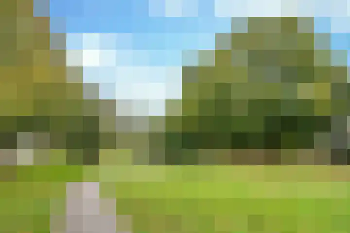 Piet Heinlaan 29 Son en Breugel thumbnail 39