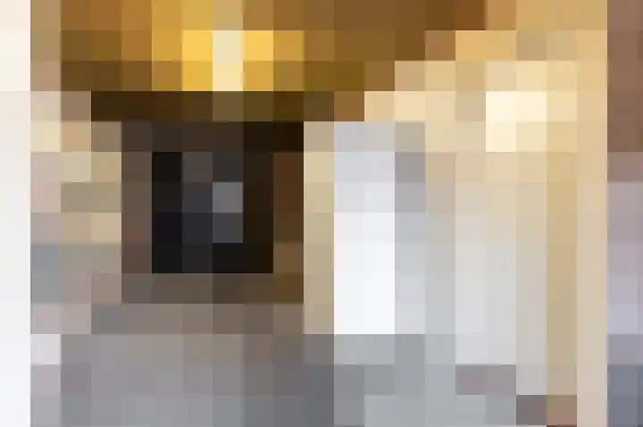 Piet Heinlaan 3 Harderwijk thumbnail 15