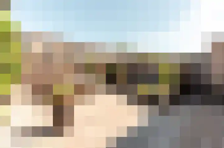 Piet Heinlaan 3 Harderwijk thumbnail 29