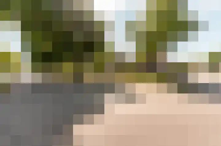 Piet Heinlaan 3 Harderwijk thumbnail 39