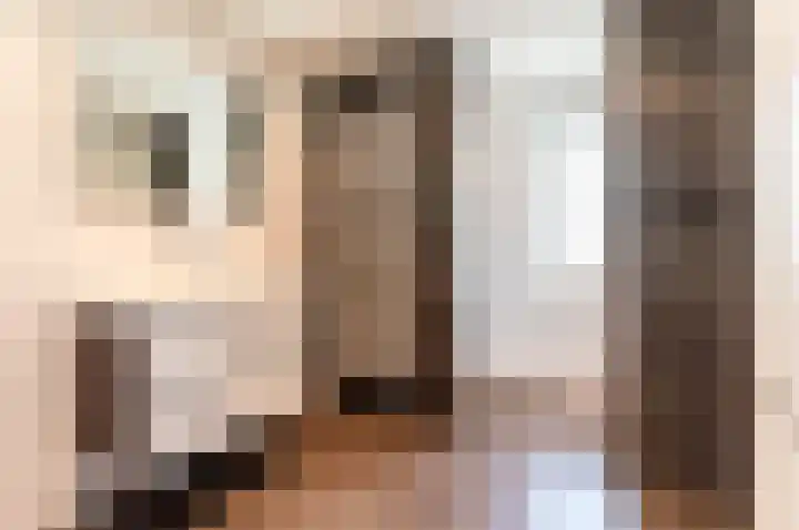 Piet Heinlaan 3 Harderwijk thumbnail 5