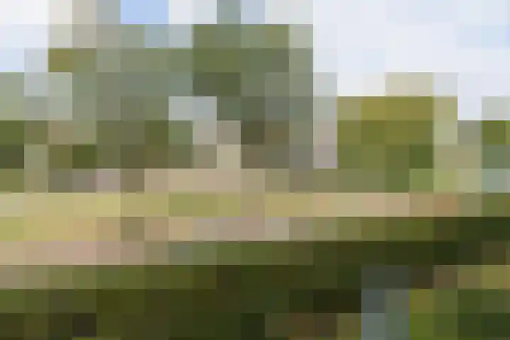Piet Heinlaan 34 Bussum thumbnail 10