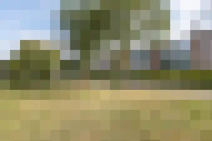 Piet Heinlaan 34 Bussum thumbnail 28