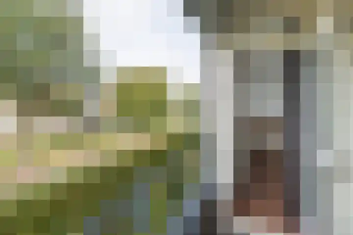 Piet Heinlaan 34 Bussum thumbnail 4