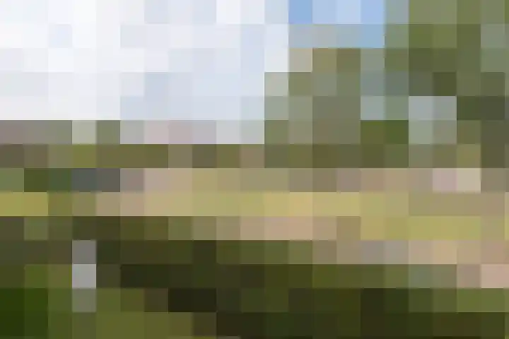 Piet Heinlaan 34 Bussum thumbnail 5