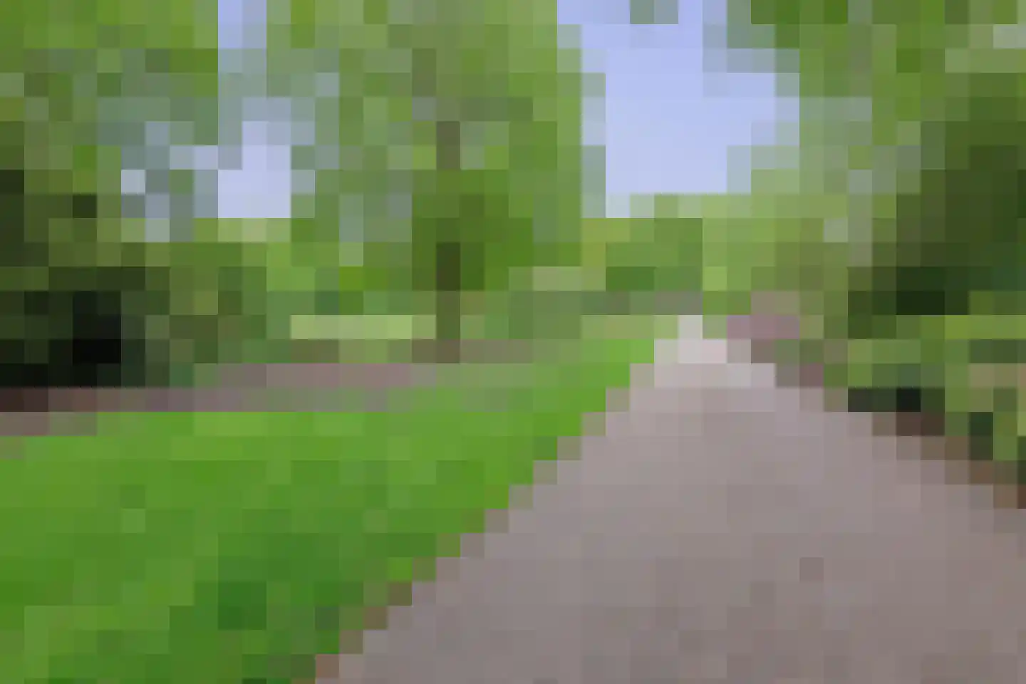Piet Heinlaan 4 Winschoten thumbnail 25