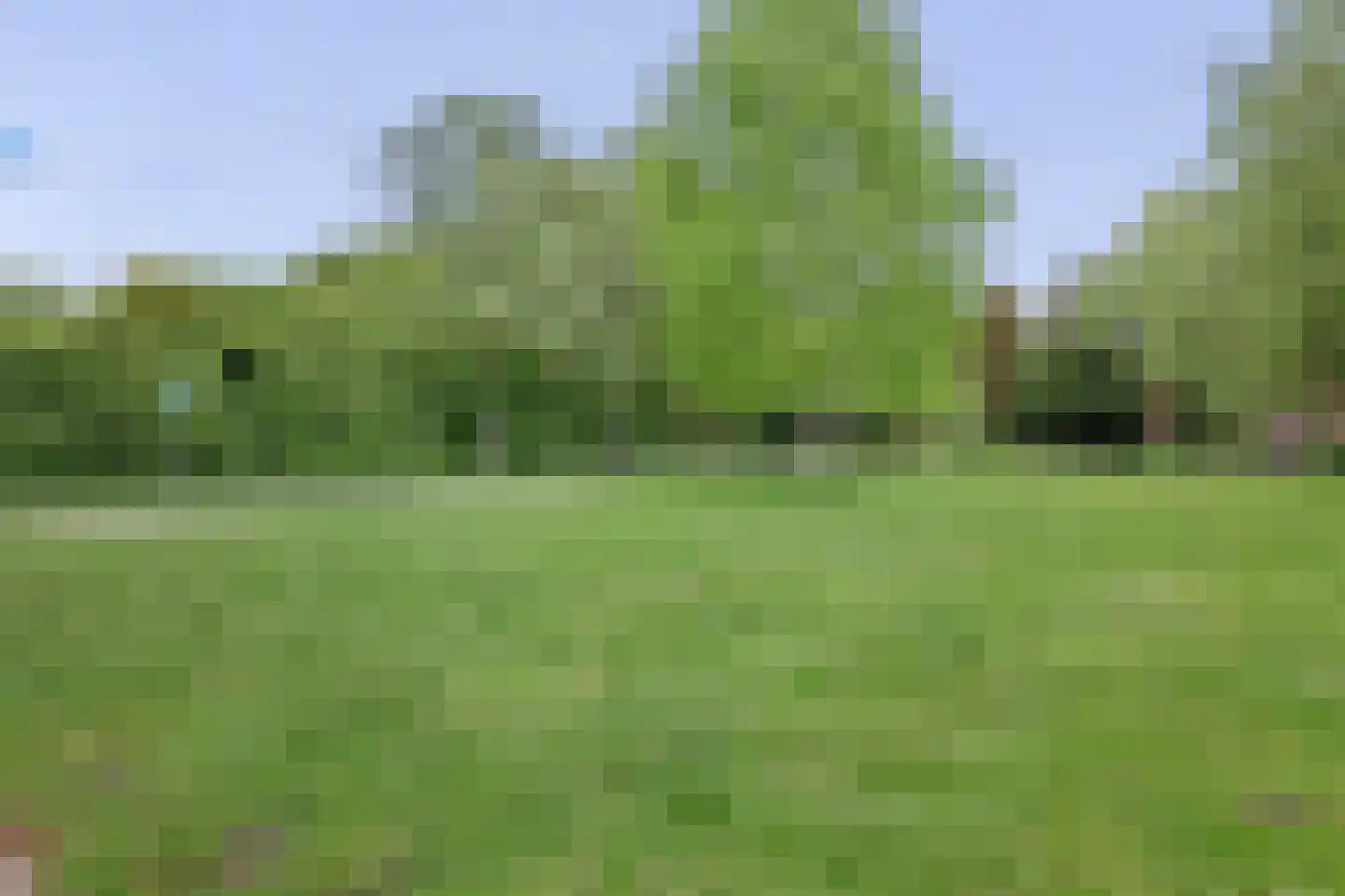Piet Heinlaan 4 Winschoten thumbnail 26