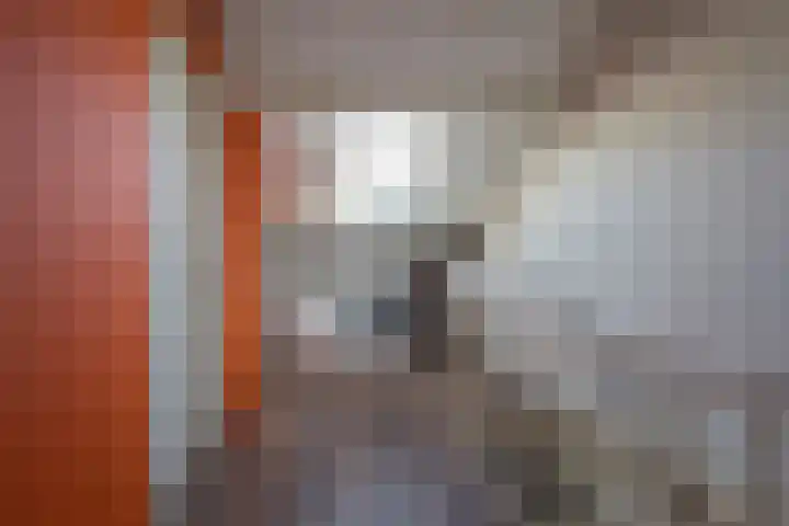 Piet Heinlaan 41 Voorthuizen thumbnail 28