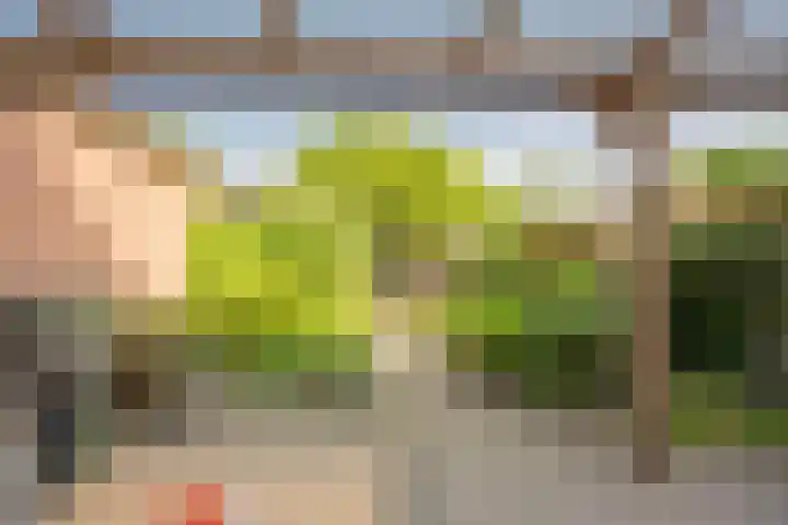 Piet Heinlaan 41 Voorthuizen thumbnail 29