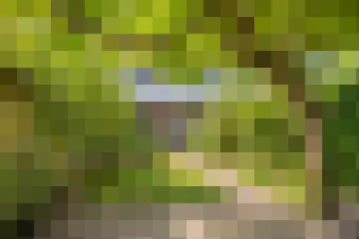 Piet Heinlaan 41 Voorthuizen thumbnail 31