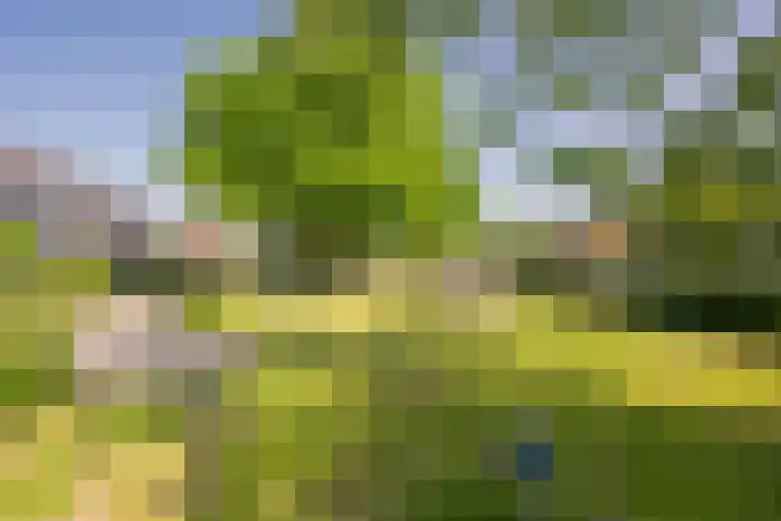 Piet Heinlaan 41 Voorthuizen thumbnail 34