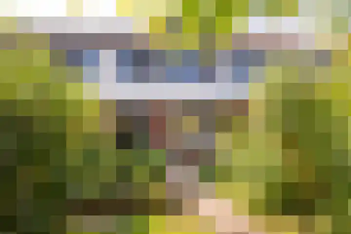 Piet Heinlaan 41 Voorthuizen thumbnail 4