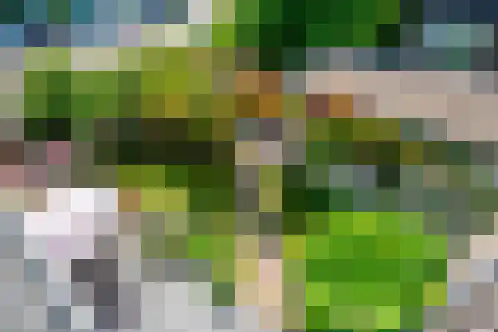 Piet Heinlaan 42 Oegstgeest thumbnail 17