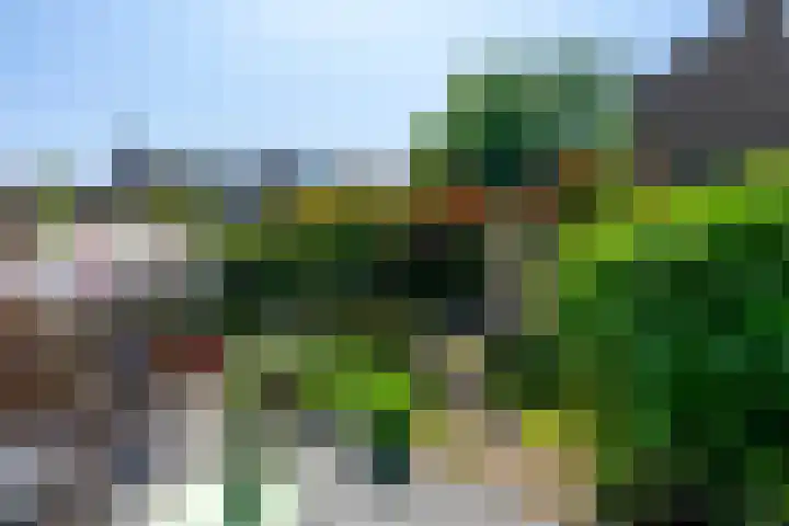Piet Heinlaan 42 Oegstgeest thumbnail 31