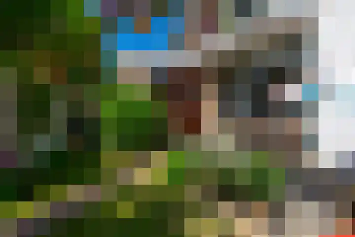 Piet Heinlaan 42 Oegstgeest thumbnail 32