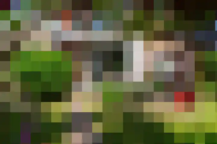 Piet Heinlaan 42 Oegstgeest thumbnail 33