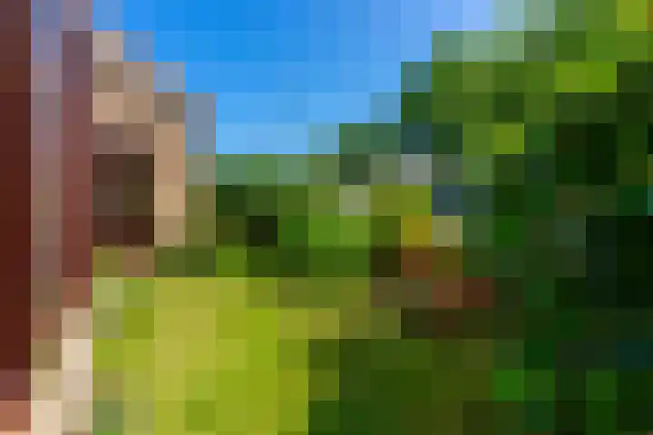Piet Heinlaan 42 Oegstgeest thumbnail 34