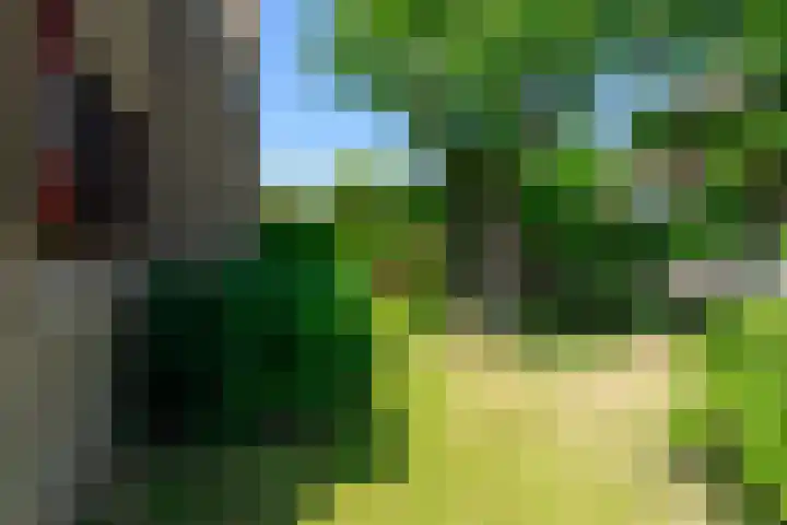 Piet Heinlaan 42 Oegstgeest thumbnail 35