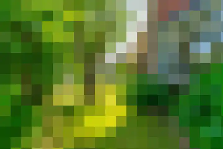 Piet Heinlaan 42 Oegstgeest thumbnail 36