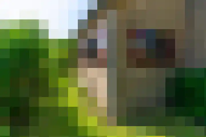 Piet Heinlaan 42 Oegstgeest thumbnail 37