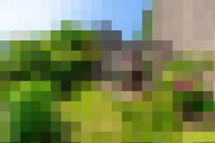 Piet Heinlaan 42 Oegstgeest thumbnail 38