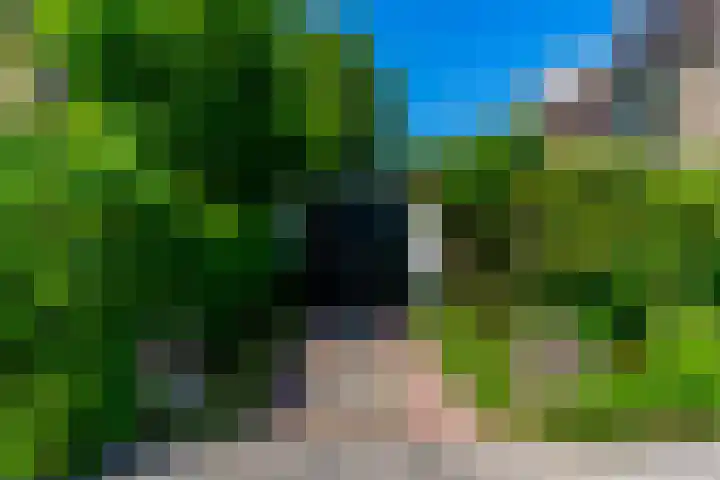 Piet Heinlaan 42 Oegstgeest thumbnail 39