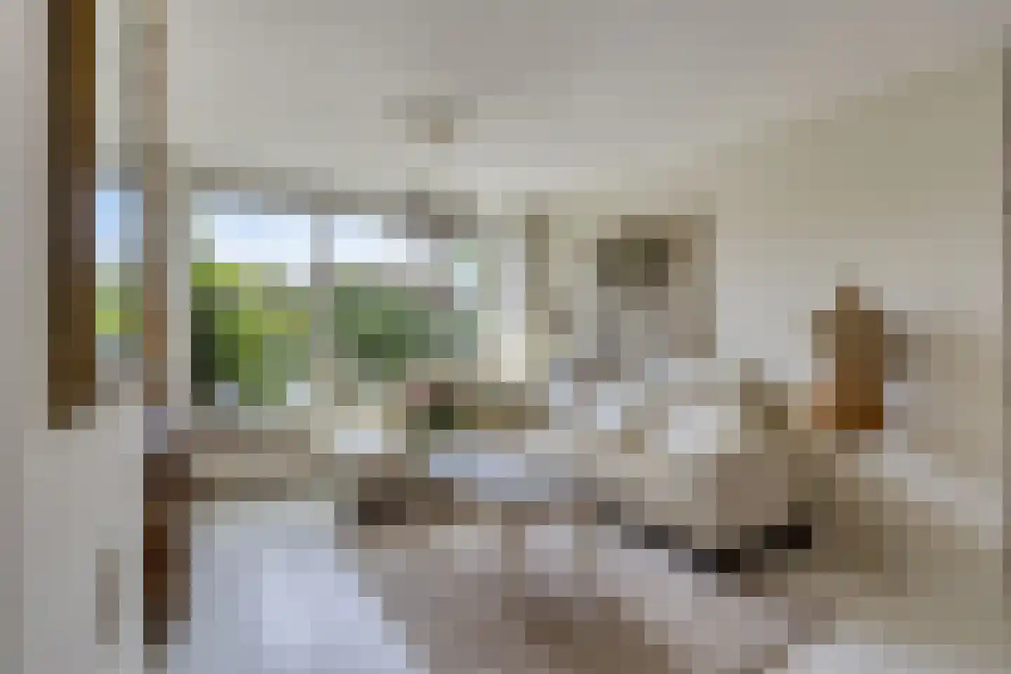 Piet Heinlaan 43 Castricum thumbnail 11