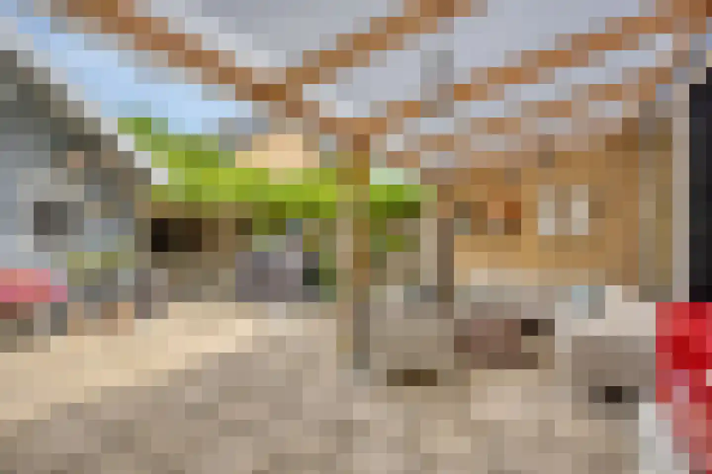 Piet Heinlaan 43 Castricum thumbnail 41