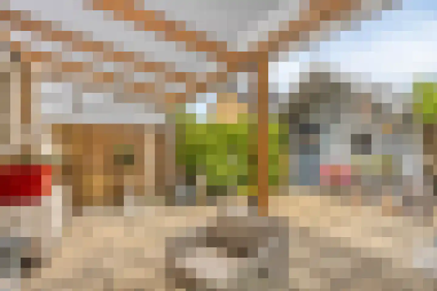 Piet Heinlaan 43 Castricum thumbnail 42