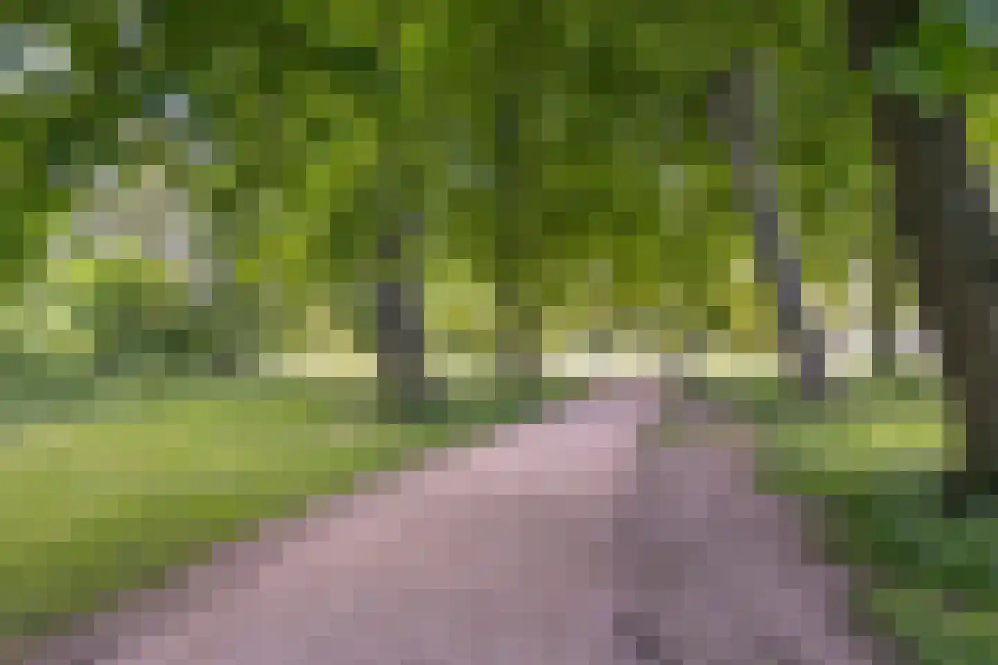 Piet Heinlaan 43 Castricum thumbnail 55