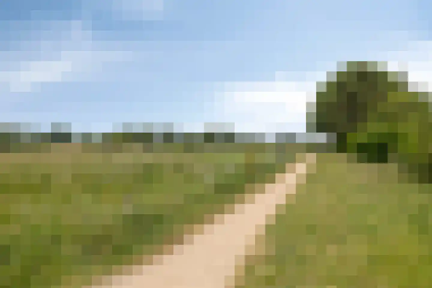 Piet Heinlaan 43 Castricum thumbnail 57