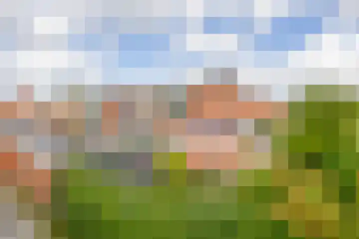 Piet Heinlaan 48 Winschoten thumbnail 18