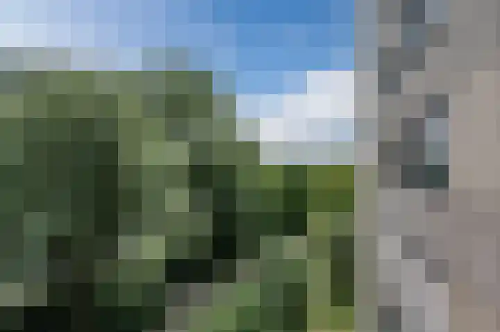 Piet Heinlaan 51 Katwijk thumbnail 8