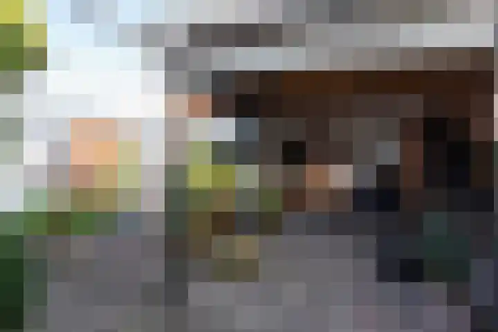 Piet Heinlaan 60 Winschoten thumbnail 36